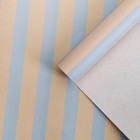 Бумага упаковочная для цветов «Полоски», 100 х 70 см, МИКС - Фото 6