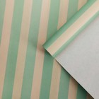 Бумага упаковочная для цветов «Полоски», 100 х 70 см, МИКС - Фото 7