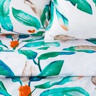 Постельное бельё «Экономь и Я» Тропическая экзотика1,5 сп. 143×215см, 150×220см, 50×70см-2шт, микрофайбер, 75 г/м² 3867516