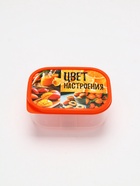 Ланч - бокс прямоугольный «Цвет настроения оранжевый», 500 мл - Фото 3