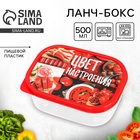 Ланч - бокс прямоугольный «Цвет настроения красный», 500 мл - Фото 1