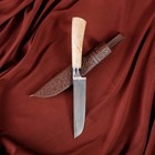 Нож Корд Куруш - береза, сухма, пуговица, гарда олово гравировка У8 (11-12 см) - Фото 1