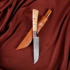 Нож Корд Куруш - береза, сухма, пуговица, гарда олово гравировка У8 (11-12 см) - Фото 4