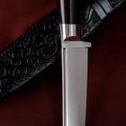 Нож Корд Куруш - Граб черный,сухма, гарда олово НС 420 (11-12 см) - Фото 5
