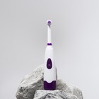 Электрическая зубная щётка Luazon LP-001, 3 насадки, от 2xАА (не в комплекте), МИКС - Фото 2