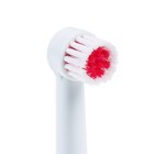 Электрическая зубная щётка Luazon LP-001, 3 насадки, от 2xАА (не в комплекте), МИКС - Фото 6