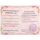 Подарочный набор: орден со стразами "За терпение" и удостоверение - Фото 3