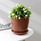 Горшок для цветов с поддоном «Венеция», 3,1 л, d=19 см, цвет терракотовый - Фото 1