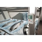 Логгер данных температуры Testo 174 T, с USB-интерфейсом, от -30 до +70 °С, ±0.5 °C, IP65 - Фото 3