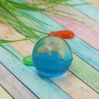 Мяч каучуковый «Дельфин», 4,5 см - Фото 1