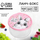 Ланч - бокс круглый «Где мой обед?», 500 мл - Фото 1