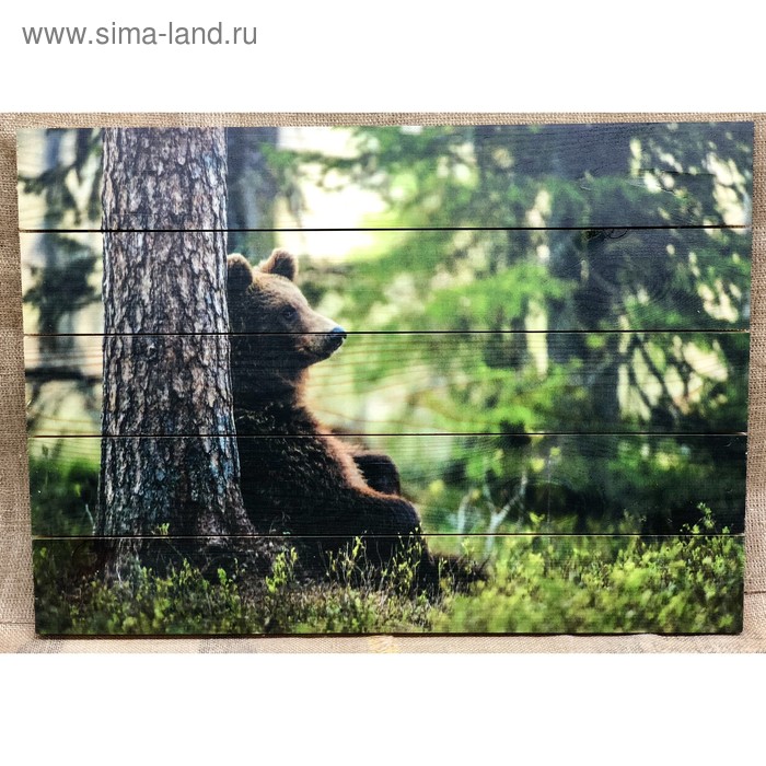 Картина для бани "Медведь в лесу", МАССИВ, 60×40 см - Фото 1