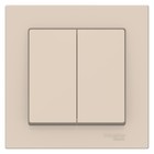 Выключатель SE ATLASDESIGN, 10 А, 2 клавиши, IP20, скрытый, бежевый, ATN000252 - Фото 2