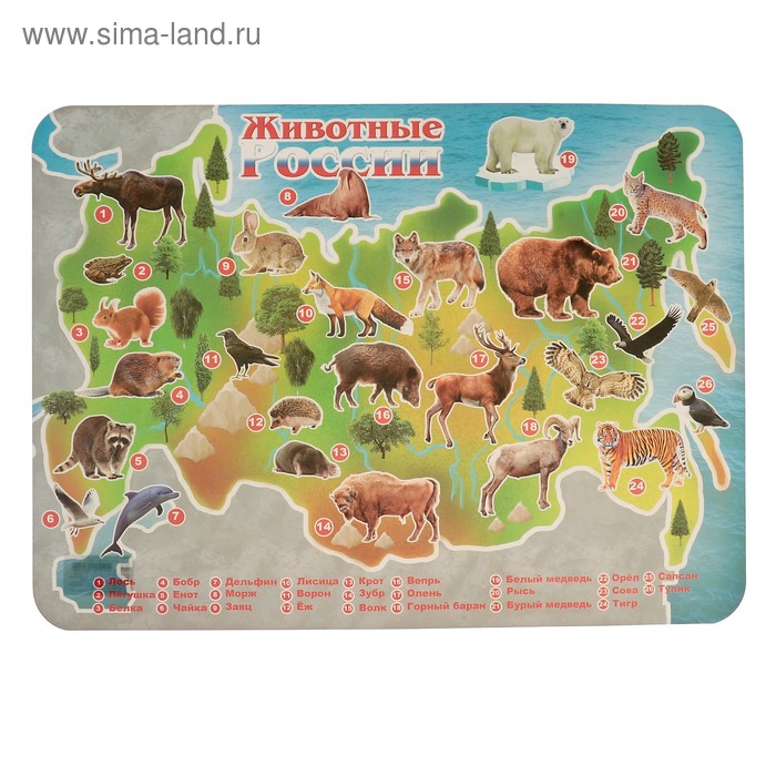 Накладка на стол пластиковая А3 (430 х 320 мм) 400 мкм, "Карта. Животные России. Лесные звери", обучающая - Фото 1