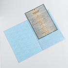 Папка для свидетельства о рождении для мальчика «Кошечка», А4 - Фото 4