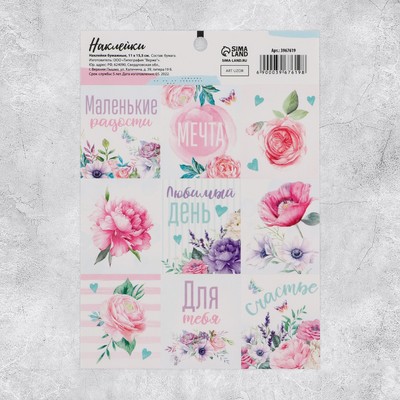 Наклейки для подарков и цветов «Мечта», 11×15.5 см