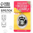 Брелок для ключей акриловый «Енот», 7.2×14 см - Фото 1