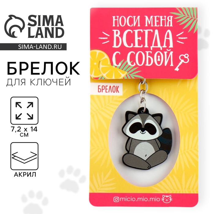 Брелок для ключей акриловый «Енот», 7.2×14 см