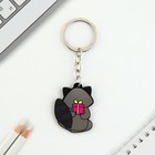 Брелок для ключей акриловый «Енот», 7.2×14 см - Фото 5