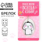 Брелок для ключей акриловый «Зайка», 3.5×10 см - Фото 1
