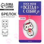 Брелок для ключей акриловый «Котик», 3,5 х 10 см - Фото 1