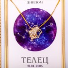 Подарочный набор диплом и брошь гороскоп "Телец", 15 х 15 см - Фото 5