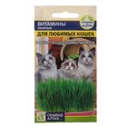 Семена Зеленые Витамины для любимых Кошек, цп, 10 г - Фото 1