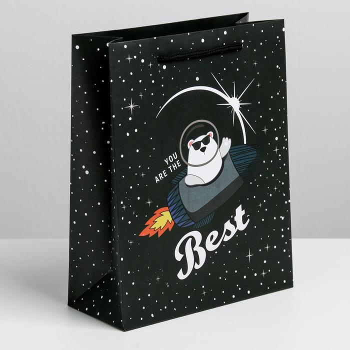 Пакет подарочный ламинированный вертикальный, упаковка, «Космос ждёт», MS 18 х 23 х 10 см - фото 1927428148