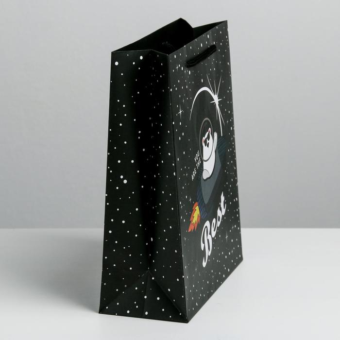 Пакет подарочный ламинированный вертикальный, упаковка, «Космос ждёт», MS 18 х 23 х 10 см - фото 1927428149