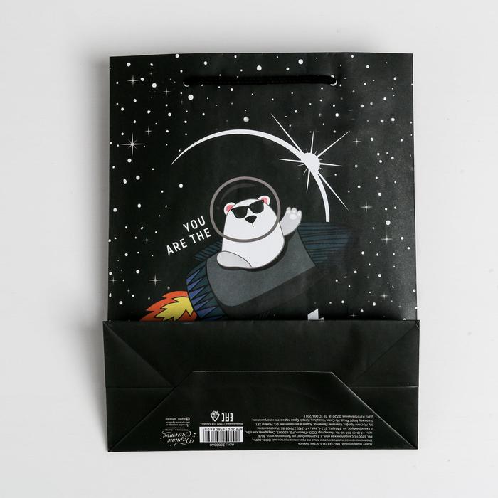 Пакет подарочный ламинированный вертикальный, упаковка, «Космос ждёт», MS 18 х 23 х 10 см - фото 1927428151