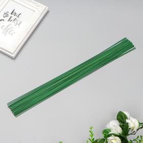 Проволока для изготовления искусственных цветов 'Зелёная' 40 см сечение 1,2 мм Ош