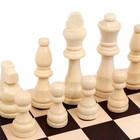 Шахматы деревянные обиходные 29 х 29 см, король h-9 см, пешка h-4 см - фото 9255364