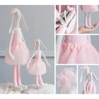 Мягкая игрушка «Домашние зайки Скарлет и Шарлиз», набор для шитья, 18 × 22.5 × 2.5 см - Фото 1