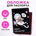 Обложка-прикол на паспорт «Космокотик», ПВХ - фото 9421582
