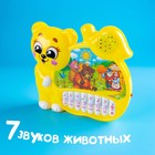 Музыкальная игрушка-пианино «Медвежонок», ионика, 4 режима игры, работает от батареек - Фото 6