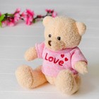 Мягкая игрушка «Медведь», 20 см, кофточка с надписью, цвета МИКС - фото 108369368