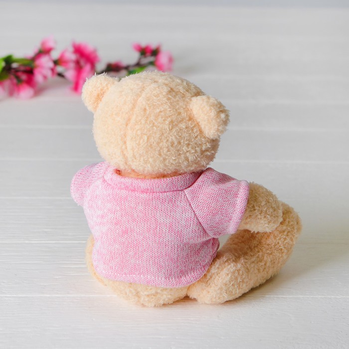 Мягкая игрушка «Медведь», 20 см, кофточка с надписью, цвета МИКС - фото 1906967097