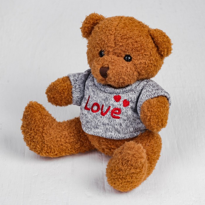 Мягкая игрушка «Медведь», 20 см, кофточка с надписью, цвета МИКС - фото 1887832928