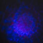 Проектор «Хрустальный диско-шар» 5 см, поворотное крепление, пульт ДУ, свечение RGB, 220 В - Фото 7