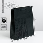 Пакет подарочный ламинированный вертикальный, упаковка, «Мужская воля», M 25.5 х 30 х 9 см - фото 320421597