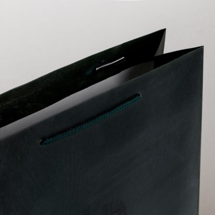 Пакет подарочный ламинированный вертикальный, упаковка, «Мужская воля», M 25.5 х 30 х 9 см - фото 1908425024