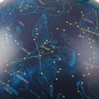 Глобус Звёздного неба «Классик Евро», диаметр 320 мм, с подсветкой - Фото 4