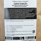 Подарочный набор для приготовления напитка «Джин Бомбей»: штоф 500мл, специи 36 г, инструкция - Фото 6