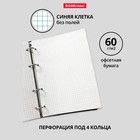 Сменный блок для тетрадей на кольцах, 80 листов в клетку, ErichKrause, белый - Фото 2