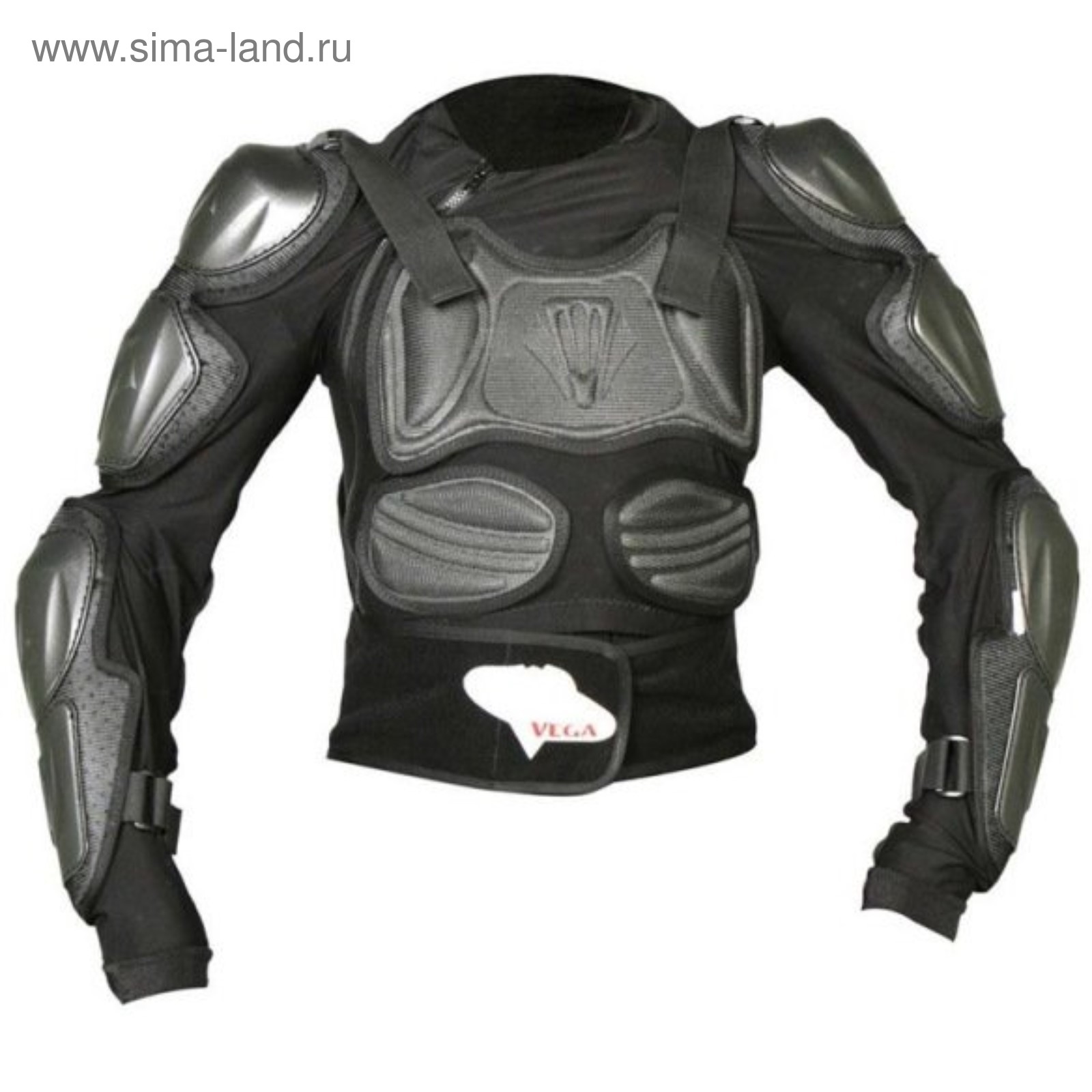 Черепаха на мотоцикл. Защита для мотоцикла. Моточерепаха madbull turtle jacket. Черепаха на мотоцикл. Моточерепаха scoyco.