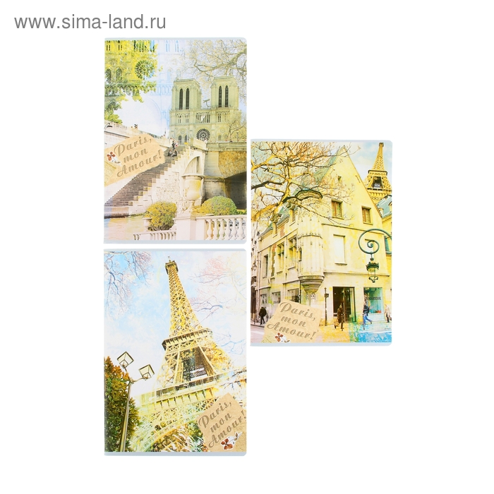 Тетрадь А4, 96 листов клетка Paris, mon Amour, 3 вида МИКС - Фото 1