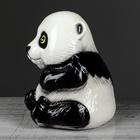 Копилка "Панда", глянец, чёрный цвет, 18 см - Фото 2