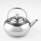 Чайник из нержавеющей стали «Гретель», 1,6 л, 24×18×12 см, металлическое сито, цвет хромированный - фото 8759251