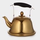 Чайник из нержавеющей стали «Голд», 2 л, 23×19×20 см, цвет золотой - фото 301768562