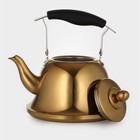 Чайник из нержавеющей стали «Голд», 2 л, 23×19×20 см, цвет золотой - фото 4261340